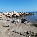 Rifiuti sulla spiaggia di Barletta, trovati anche scarti di lavorazione di opifici