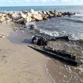 Rimossi scarti di opifici sulla costa di Barletta in contrada Le Paludi