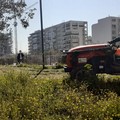 Parco dell'Umanità di Barletta, attività di manutenzione ordinaria