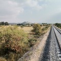 Riparte la circolazione dei treni sulla Barletta-Spinazzola