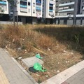 La segnalazione di un cittadino: «Ancora cattiva pulizia in città»