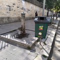 Cestino per deiezioni canine accanto alla fontana dell'acqua. «Odori sgradevoli»