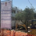 Rete idrica e fognaria a Borgo Montaltino, Caracciolo:  «Lavori finalmente al via»