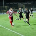 Barletta Calcio, i numeri dopo lo 0-0 con il Savoia