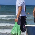 Pesci spiaggiati a Levante, la ASL avvia indagini sulle acque