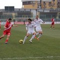Lega Pro, girone C, terremoto in coda: -12 alla Reggina, calabresi in D