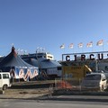 No al Circo a Barletta, la richiesta di boicottare lo spettacolo