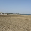 Pulizia delle spiagge e isole salvagente per il traffico, lavori in corso sulla litoranea di Ponente