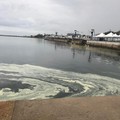 Sostanze biancastre su  acque marine, in corso analisi Arpa