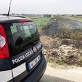 Incendio domato a Salinelle, il sindaco invita i proprietari a ripulire i terreni dalle sterpaglie