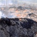 Incendio a Montaltino, la puzza invade Barletta