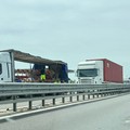 Incidente tra due mezzi pesanti sulla SS16bis a Barletta