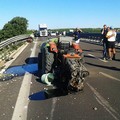 Brutto impatto tra tir e trattore sulla SS16bis, illesi i conducenti