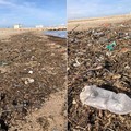Un mare di plastica sulla spiaggia di Barletta