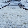 Mare sporco il primo dell'anno, mare sporco tutto l'anno