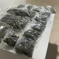 Spaccio a Barletta: arrestato un 24enne. La Polizia sequestra 4 kg di marijuana
