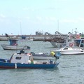 Eolico offshore e impatto occupazionale sulla pesca, preoccupazione della Flai Cgil Bat
