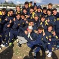 Medaglie d'oro Barletta: vincono gli  "Allievi ", pari per i  "Giovanissimi "