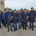 Xylella, «a rischio imminente anche la zona della provincia Bat»