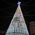 Si accende il Natale di Barletta con l'albero in Piazza Aldo Moro