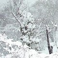 Arriva il gelo invernale: scende la neve su Barletta