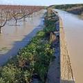 Il Parco del fiume Ofanto verso la trasformazione in Parco Nazionale