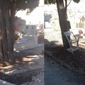 Oggetti abusivi nel cimitero di Barletta, scatta la rimozione