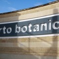 Orto botanico di Barletta: un’area verde che si  sbiadisce con il tempo