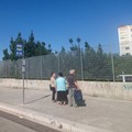 Una pensilina per la fermata degli autobus all'ospedale di Barletta