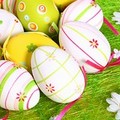 Al  "Dimiccoli " arriva la Pasqua