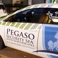 Pegaso Security Spa: nuove opportunità di lavoro a Bari e nella Bat