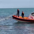 Pesca sottocosta, la Guardia Costiera di Barletta interviene a Trani e Bisceglie