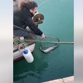Pesca a spinning, record nelle acque di Barletta