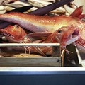 Sequestrati prodotti ittici in pessimo stato di conservazione