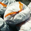 Sinergia per la raccolta di rifiuti abbandonati lungo la SS16 a Barletta