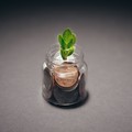 Mutui green ed efficienza energetica: come la transizione ecologica riduce il costo del finanziamento