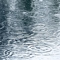 Maltempo con vento e burrasche: pioggia intensa su Barletta