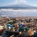 Nel mare di Barletta i pescatori potranno raccogliere anche la plastica