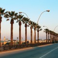 Ordinanza dell'Ufficio Traffico per i ripristini stradali sul Lungomare Mennea