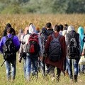 Accoglienza dei migranti, Forza Italia sostiene il  "taglia-business "