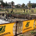 In spiaggia a raccogliere rifiuti, successo per  "Puliamo il mondo " a Barletta