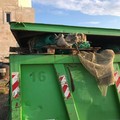 Raccolta della plastica a mare, svuotato il primo cassone di rifiuti a Barletta