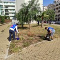 Donati cinque alberi all'aiuola comunale tra via Ofanto e via Prascina