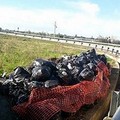 Sacchi di rifiuti abbandonati da tre settimane tra Barletta e Trani
