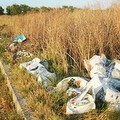 Campagne di Barletta colme di rifiuti: «dopo la sensibilizzazione scatta la linea dura»