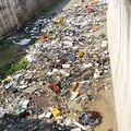 Nelle campagne di Barletta scorre un fiume di rifiuti
