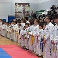 Festa Taekwondo ITF, con il trofeo delle nazioni a San Ferdinando di Puglia