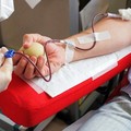Appello a donare sangue, a Barletta si dona tutti i giorni