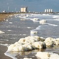 Inquietante schiuma bianca sulla spiaggia di Barletta