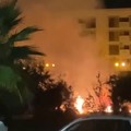 Incendio nella notte sul lungomare Mennea. Rogo nella pineta